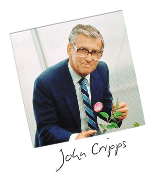 John Cripps