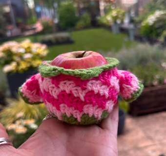 Crochet, Create & Find Your Fizz with Pink Lady® Apples