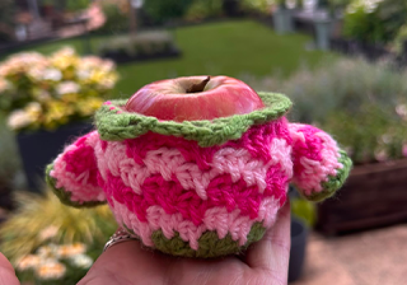 Crochet Cosies