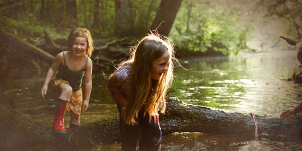 A Ramble in the Woods